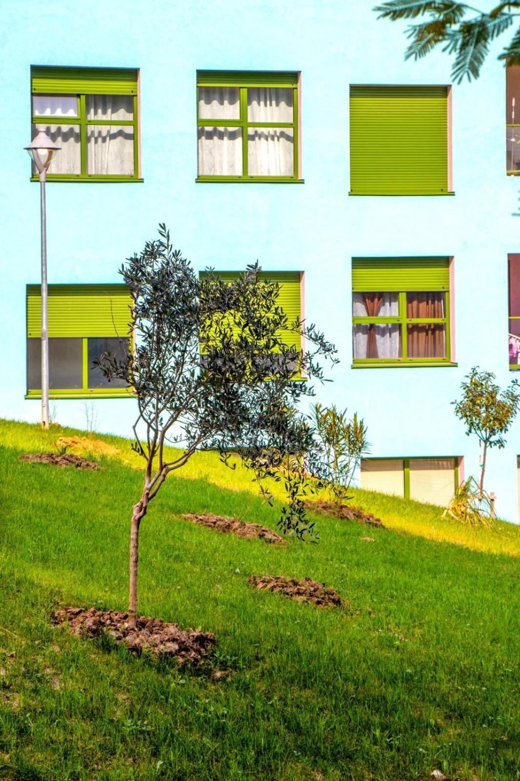 Appartement Luxury In Mangalem21 Complex Wifi,ac Tirana